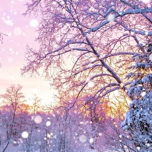 Meet your Posher, Isabella